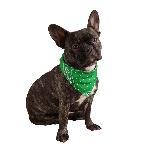 Olive green clearance dog bandana