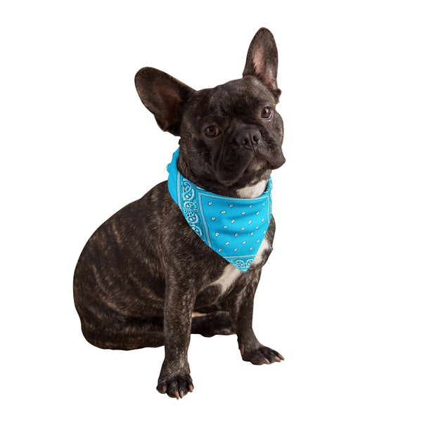 Dog collar bandanas clearance wholesale