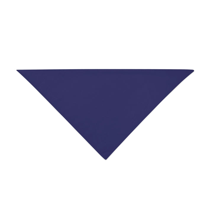 Navy Blue Triangle
